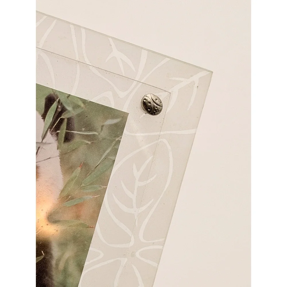 Frosted Acrylic Picture Frame with Metal Bug Accents Butterfly Bee Frog Panda